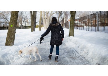  Why Getting Outside for a Walk in The Cold is Worth The Effort