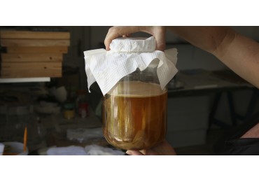  Is Kombucha Actually Good for Your Gut?