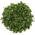 Frontier Chives, Dehydrated (1x1LB )